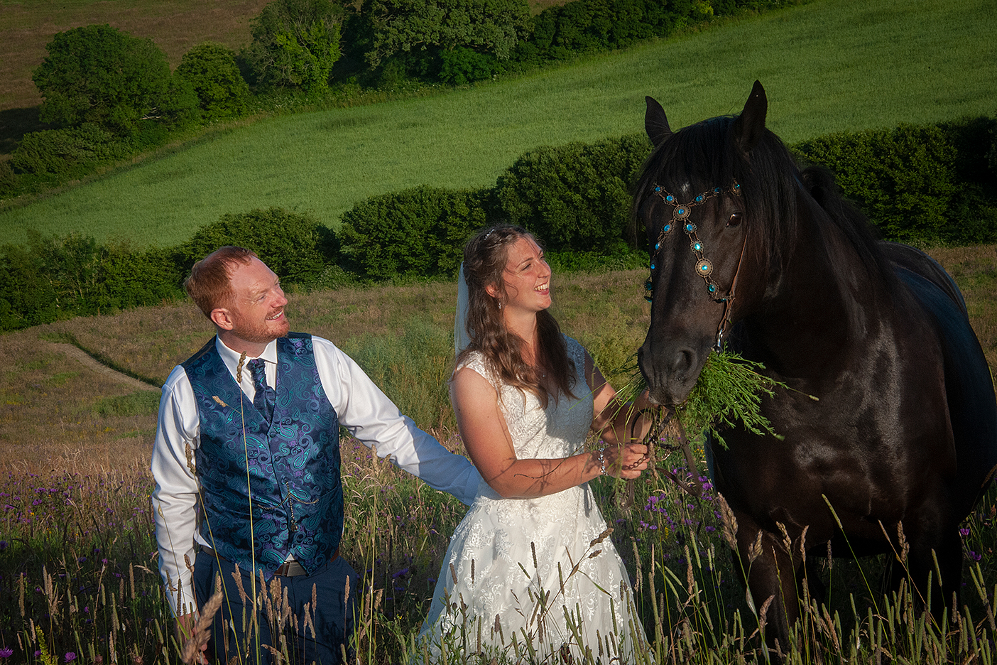 horse meadow wedding photogrpahy